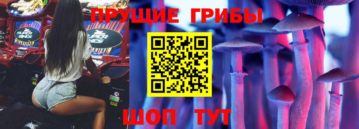 Галлюциногенные грибы Magic Shrooms  Псилоцибиновые грибы Psilocybine cubensis  Алексеевка  Вход с VPN 